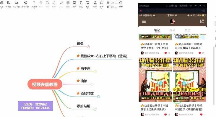 1647193022 白龙·小红书幼师项目