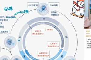 赵静娴 高三生物2022年寒假A+班