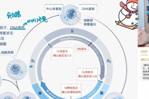 赵静娴 高三生物2022年寒假A+班