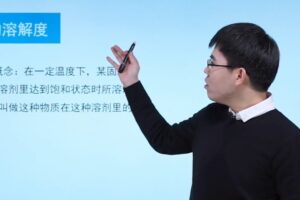 张龙海 初三化学人教版基础网课