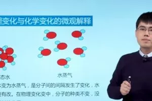 张龙海 初三化学人教版同步辅导 