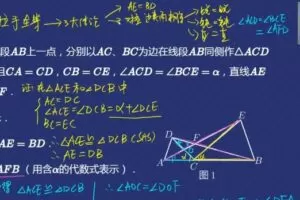 林儒强 初二数学2020年秋季创新班