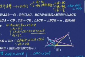 林儒强 初二数学2020年秋季创新班