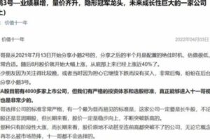 【价值十一年】2022年小鹅3号—业绩暴增，量价齐升，隐形冠军龙头，未来成长性巨大的一家公司