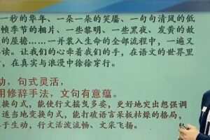 达吾力江 小达老师语文达人作文课堂 