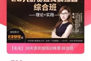【毛毛】28天游资短线训练营-综合班