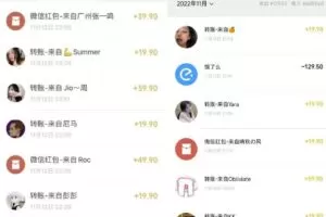 小红书虚拟电商项目：从小白到精英 月收益5000到30000 (视频课程+交付手册)