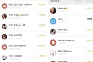 小红书虚拟电商项目：从小白到精英 月收益5000到30000 (视频课程+交付手册)