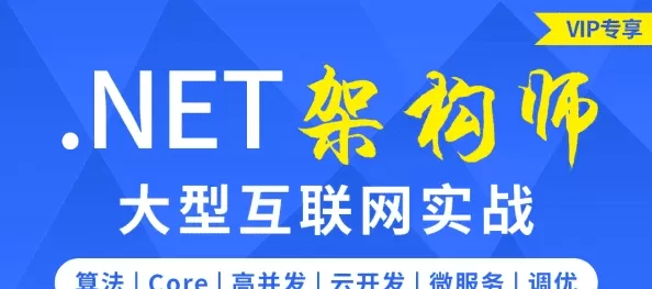 软谋.Net 高级班13期|价值6900元|完结无秘