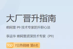 极客时间-大厂晋升指南|前阿里 P9 |完结无秘