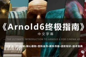 Arnold6 阿诺德终极指南【中文字幕画质高清有工程文件】