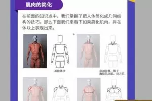 【大触特训班 入学基础训练课】萌新板绘入门指南，帮你扎实绘画基本
