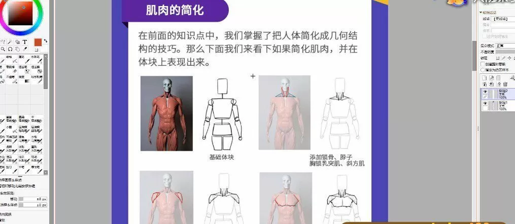 【大触特训班 入学基础训练课】萌新板绘入门指南，帮你扎实绘画基本