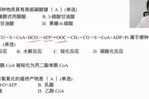 质心教育 高考生物复习课程大合集 