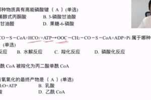 质心教育 高考生物复习课程大合集 