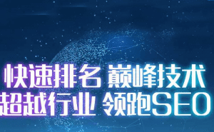 2020最新逆冬黑帽SEO快速打造高权重站（正规站）附带工具|无秘