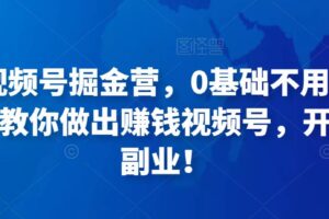 36天视频号掘金营，0基础不用担心，手把手教你做出赚钱视频号，开启高薪副业！