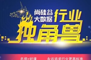 尚硅谷大数据项目实战提升大神班|2021|完结无秘