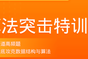 拉钩-算法突击训练营|2021年价值2298元|完结无秘