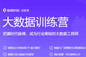 极客-大数据训练营|2021年|价值5990元|完结无秘