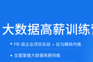 拉钩-大数据开发高薪训练营|2021年|完结无秘