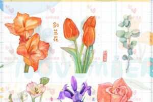 画画的漫漫水彩团练第八期2021年ipad插画课【画质高清】