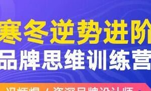 冯炳焜品牌思维训练营2020第二期【画质高清】