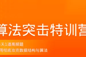 拉钩-算法突击特训营3期|价值2299元|2022年|重磅首发|完结无秘