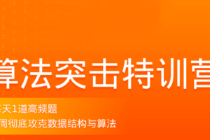 拉钩-算法突击特训营3期|价值2299元|2022年|重磅首发|完结无秘