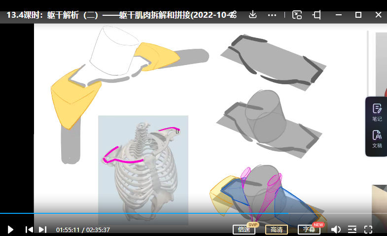 大木画画人体结构第7期2022年12月已结课【画质高清只有视频】