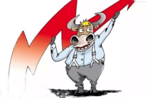 牛哥实战训练营 第八期