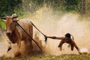 股哥训练营 只会炒股第22期