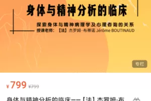 【法】杰罗姆·布蒂诺 身体与精神分析的临床20讲视频 有中文字幕