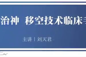 灵兰 上医治神，移空技术临床手册 刘天君