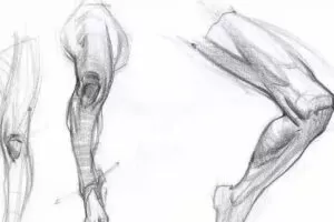 大木画画2022人体结构第五期【画质不错只有视频】