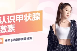 修贤放纵减肥法84天