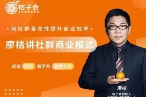 廖桔讲社群商业模式线下课程录播全集（桔子会）