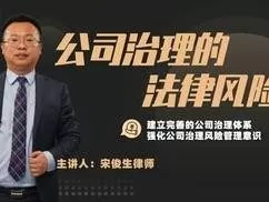 宋俊生《公司治理的法律风险》