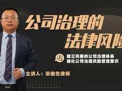 宋俊生《公司治理的法律风险》