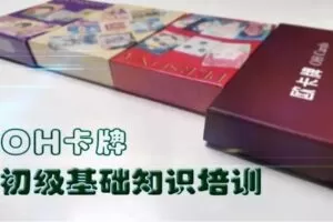 宋立兵 OH卡牌初级基础培训十二讲音频