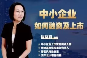 【捐赠16.9[红包]·《Z1021-中小企业如何融资及上市（全集完整版）》】