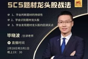 【捐赠39.9[红包]·《Z1094-盈学堂-SCS题材龙头股战法》】