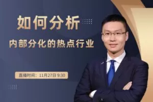 【捐赠19.9[红包]·《Z1096-盈学堂-如何分析内部分化的热点行业》】