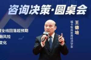 【捐赠19.9[红包]·《Z1151-福卡智库-经济形势要点分析（8月）》】