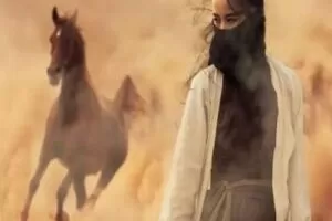 【捐赠39.9[红包]·《Z1014-投行越女剑——如何实现利润最大化！》】