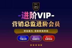 【49.9[红包]·《转化能力-总监进阶会员》】