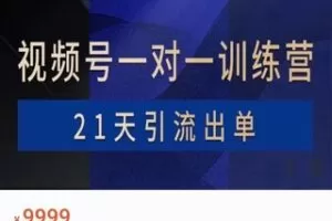 【69·[红包]S0912【AlanX花爷】视频号1v1训练营-第1期】