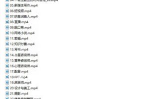 【39.9·[红包]S0704【完结】阿宝姐严选副业PLUS（原价2580）】