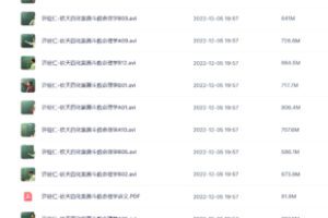 【易学上新】007.许铨仁-钦天四化紫薇斗数命理学24讲+讲义