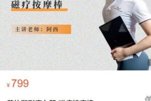 【30[红包]·S2907美体塑形魔力器-磁疗按摩棒】